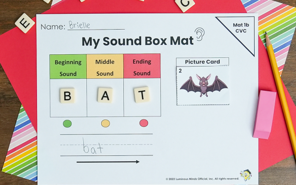 CVC Sound Box Mat Word Building Activity and Worksheet
