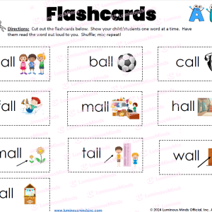 The All Family Flashcards