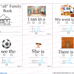 The All Family Mini Book