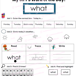 SIPPS-Aligned Plus Level Sight Word Bundle Pack Sight Word What