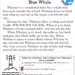 Digraph wh and alliteration reading comprehension story
