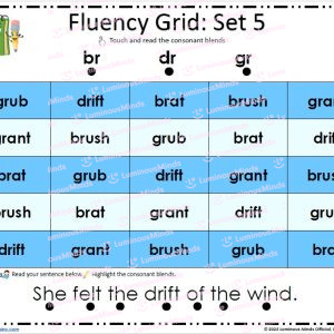 Consonant Blend Fluency Grids R-Blends Br, dr, gr Grid Set 5