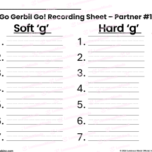 Hard G and Soft G Center Station or Partner Activity Game Board Sample Student Recording Sheet