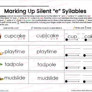 Marking Up Silent E Syllables Student Worksheet and Activity_Read Write Mark Multisyllabic and Compound Words