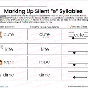 Marking Up Silent E Syllables Student Worksheet and Activity_Read Write Mark Syllables