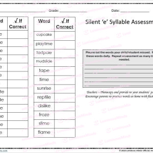 Silent E Syllable Sample Assessment 1