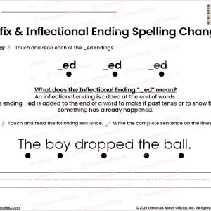 Word Study and Practice with Suffix and Inflectional Endings ed Definition and Student Reading and Writing Practice