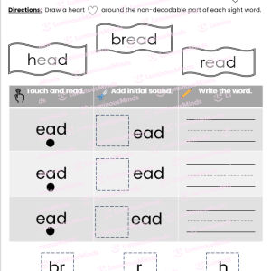 Head, Bread, Read Review Sheet Worksheet Page 2